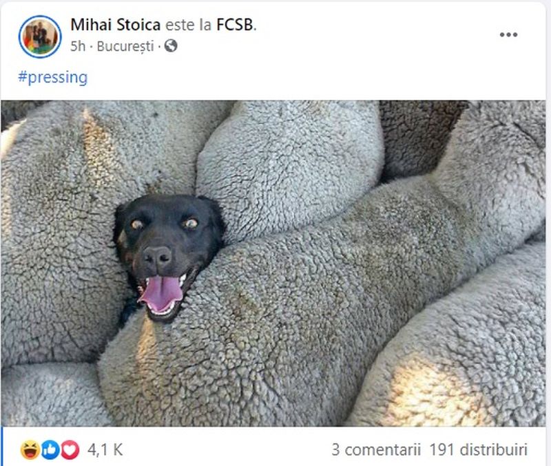 Mihai Stoica ii ironizeaza pe „caini”. Fotografia fabuloasa postata dupa derby de Romania