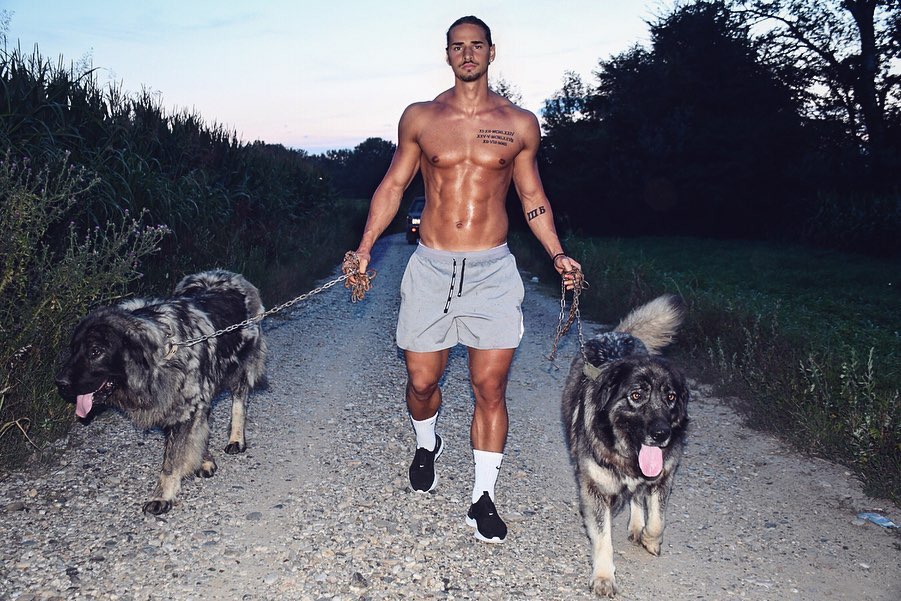 Nemanja Petrovic, fotomodelul de la Dinamo