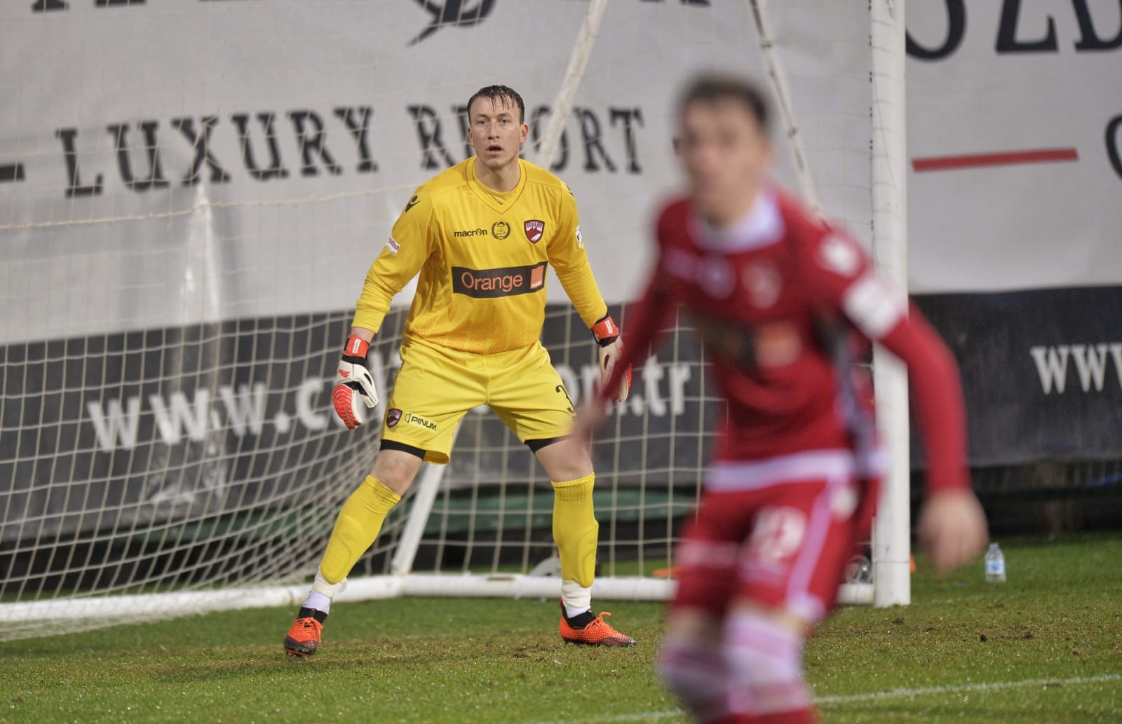 Doar 3 meciuri a jucat Sean McDermott sub comanda lui Mircea Rednic