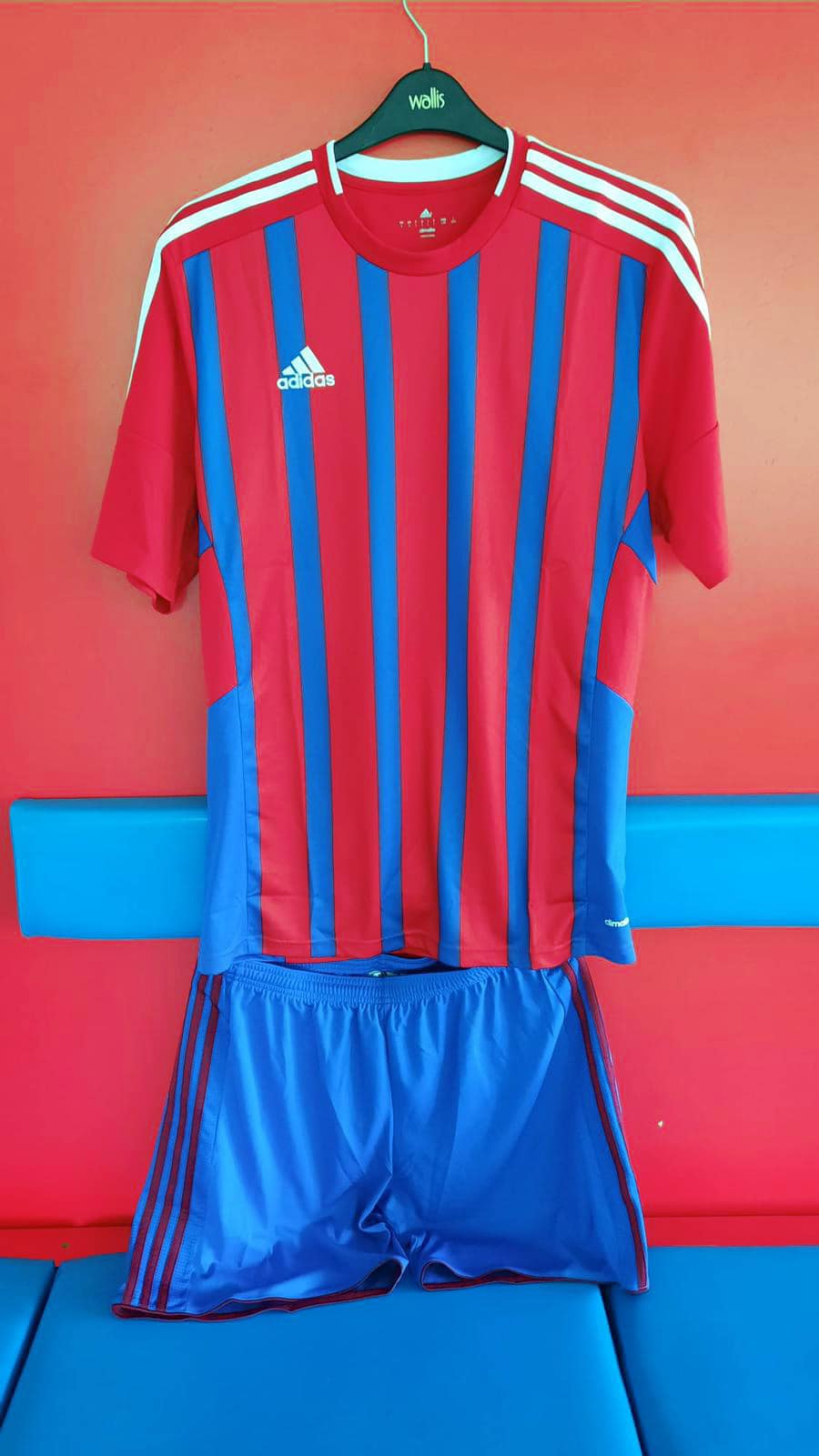 Noile tricouri ale Stelei