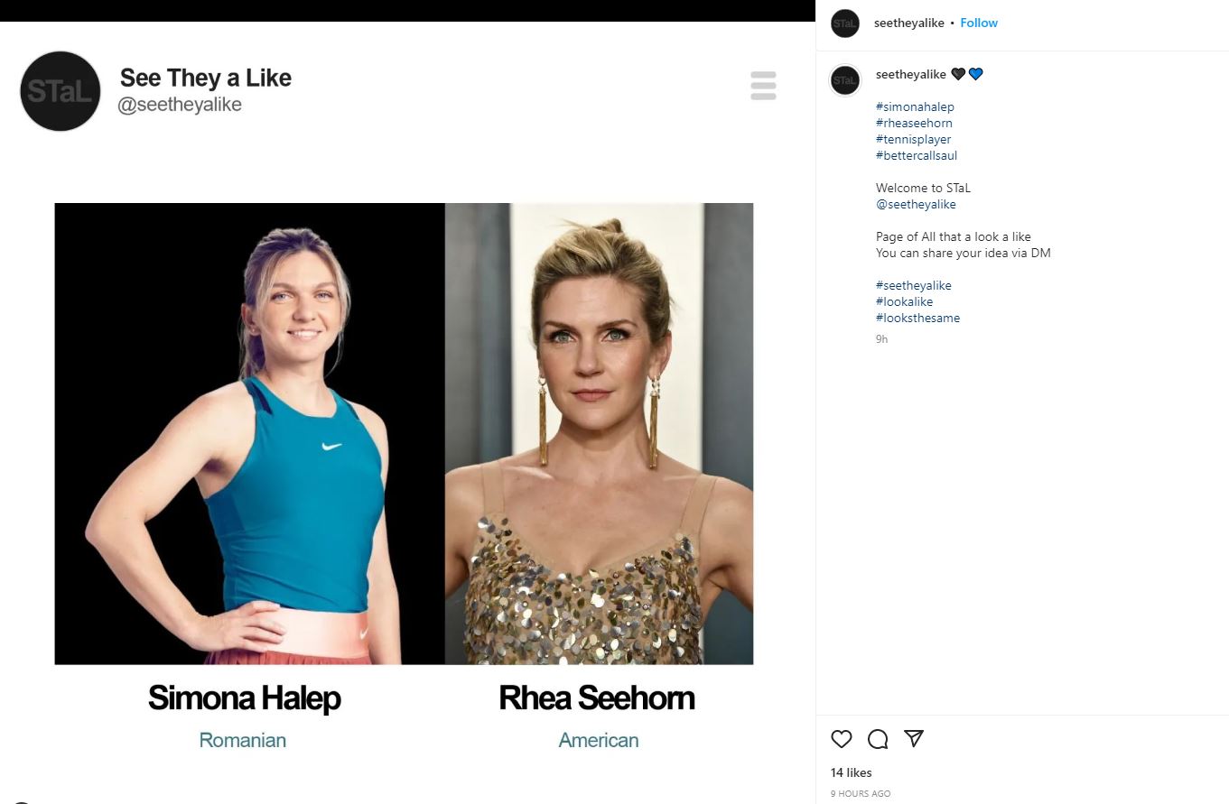Simona Halep, asemănată cu actrița Rhea Seehorn