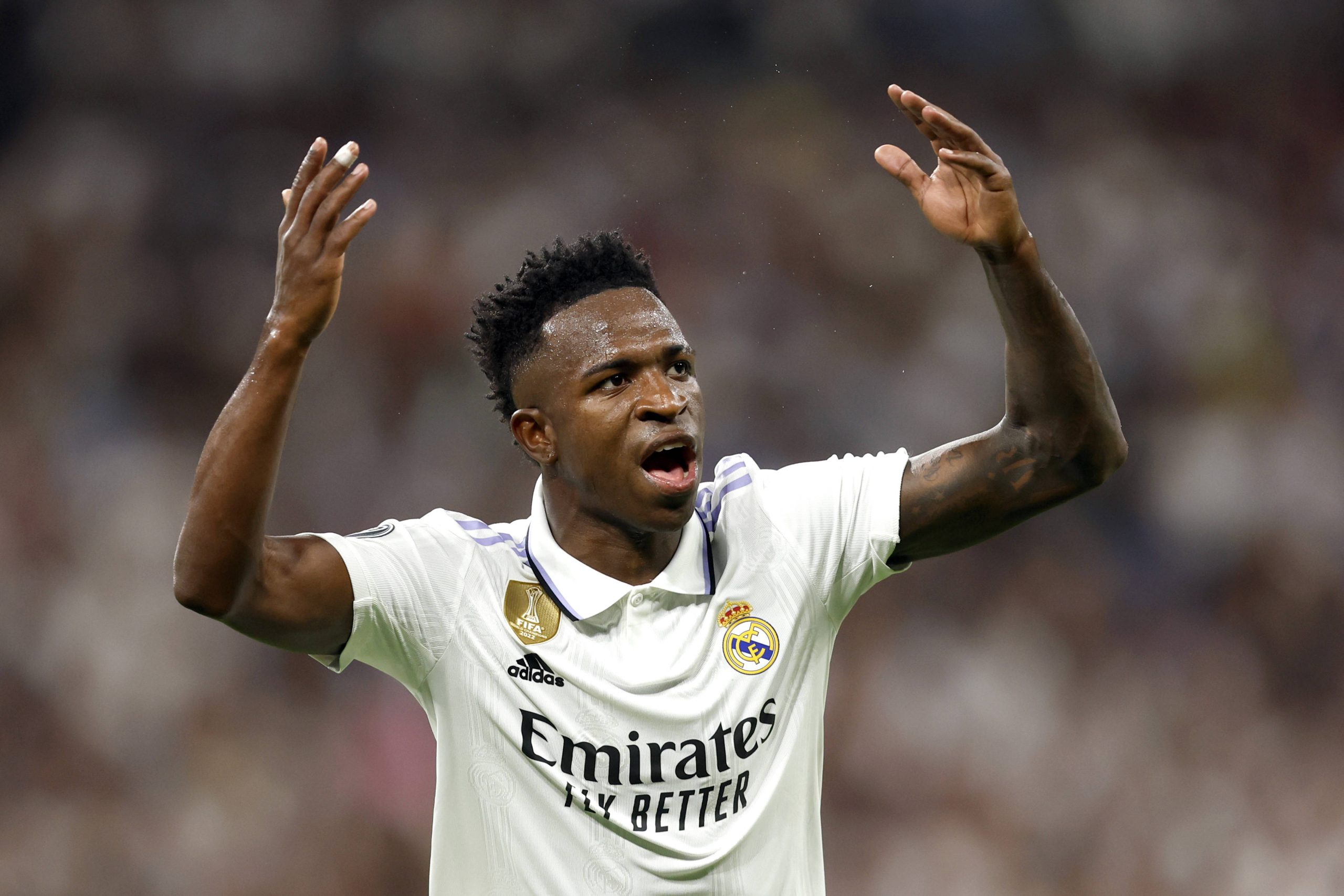 Sursă foto: Cebolla/Senis/ALFA QUI